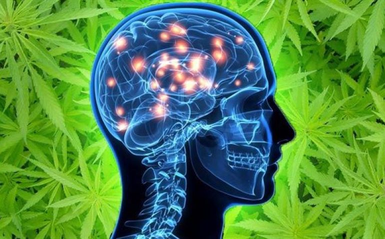 160729_8876y_marijuana_alzheimer_sn635